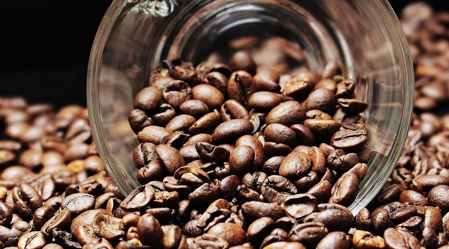 ¿Puedo congelar mis granos de café?