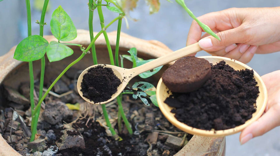Cómo reciclar el café molido
