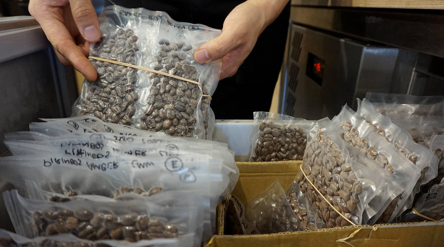 ¿Puedo congelar mis granos de café?