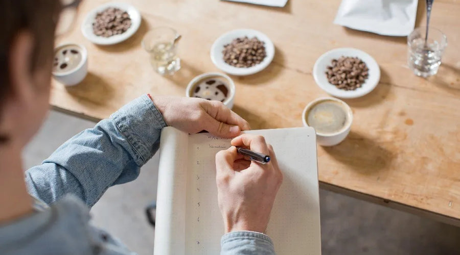 Cuáles son los sabores del café