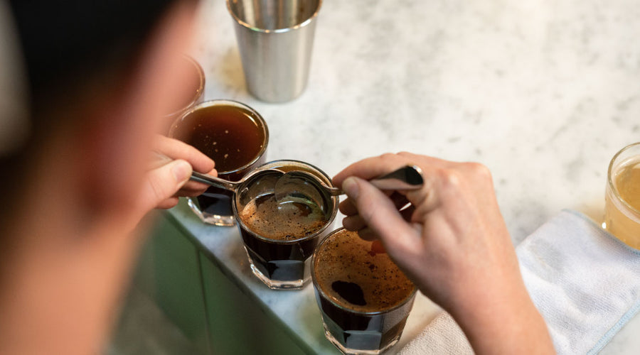 ¿Qué es la puntuación de un café y cómo se mide?