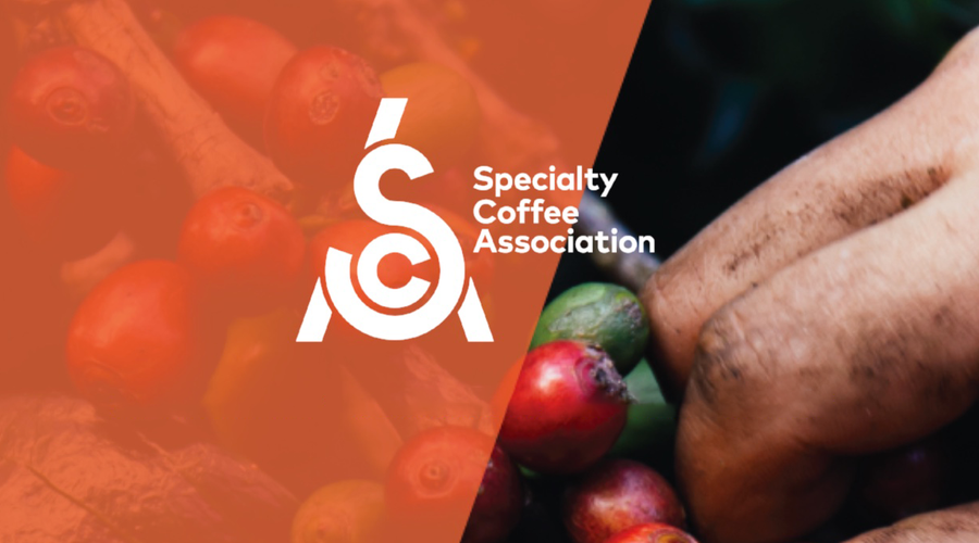 ¿Qué es y qué hace la SCA?