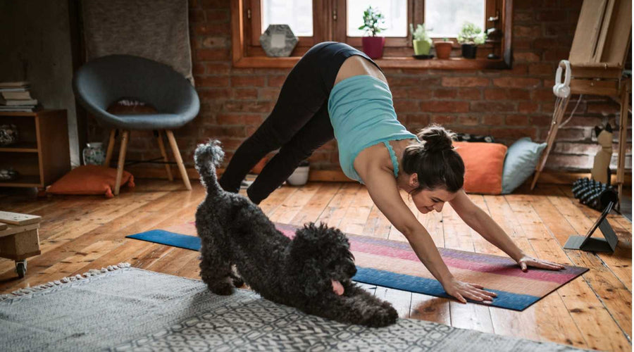 Vida sana en tiempos de cuarentena