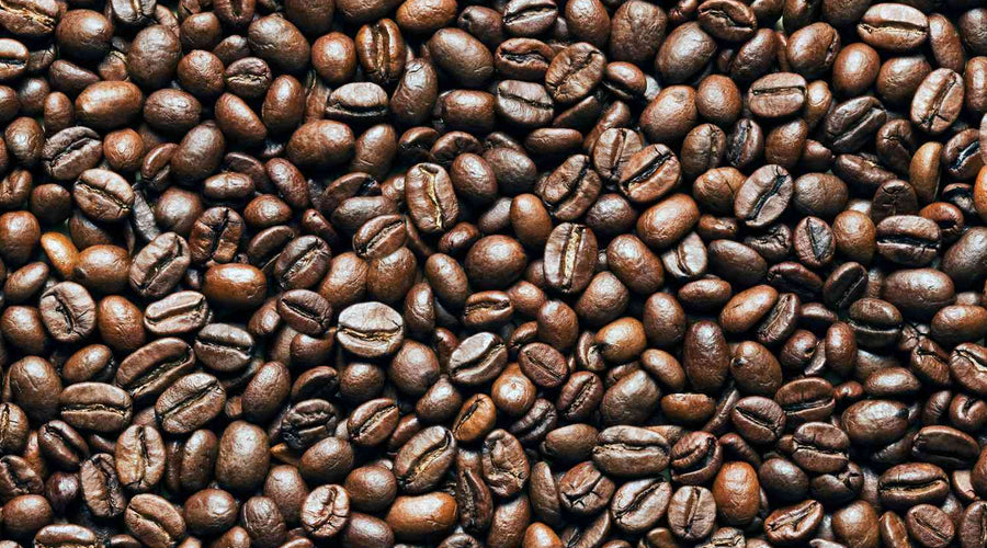 Descubre la Experiencia Sensorial del Café Extra Premium Pacamara Natural