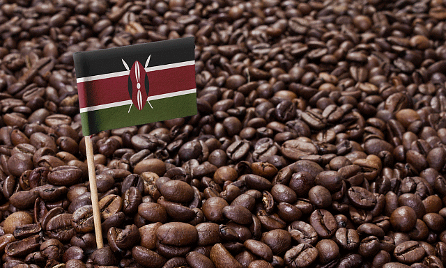 Café Origen Africano Kenya: El representante cultural de África