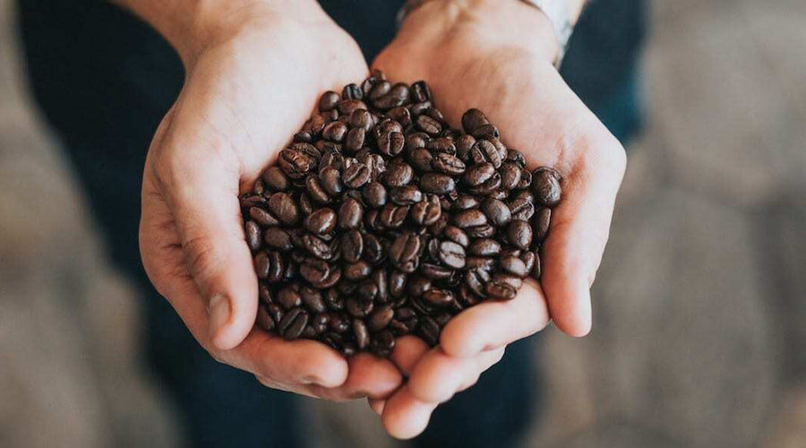 Como se descafeína un café