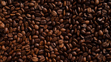 Como actúa la cafeína en nuestro cerebro