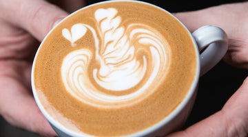 ¿Cómo hacer un cisne con la leche de tu café?