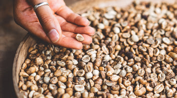 ¿Qué es el proceso natural del café?